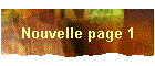 Nouvelle page 1